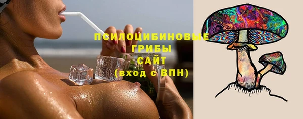 гидра Лагань