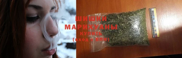 гидра Лагань