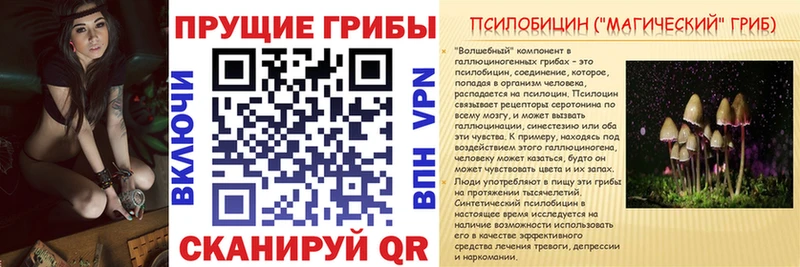 Купить Алзамай Галлюциногенные грибы Magic Shrooms