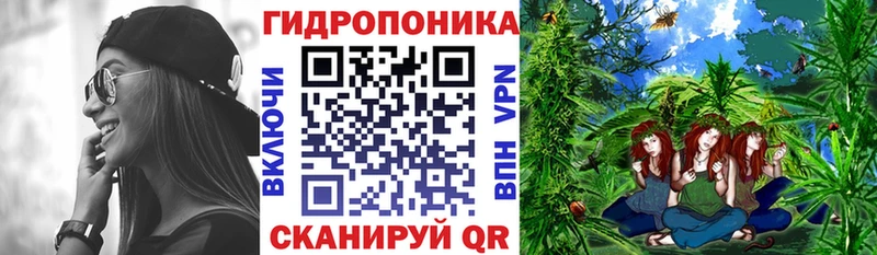 Бошки марихуана SATIVA & INDICA  Купить закладки  Алзамай 
